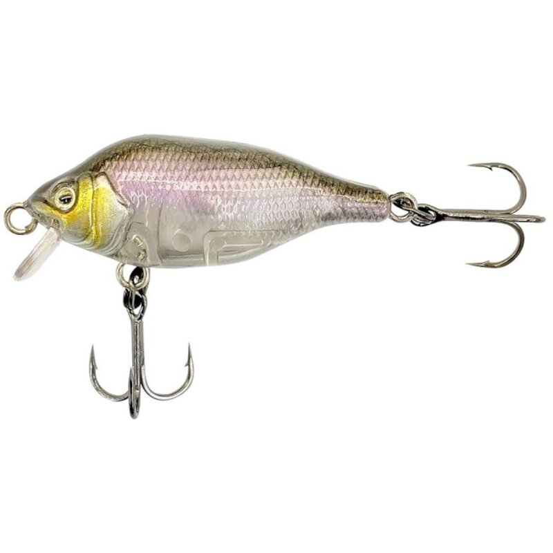 FOX RAGE Funk Bug SR 4cm 4g UV Gold Head FOX RAGE Funk Bug SR 4cm 4g UV Gold Head