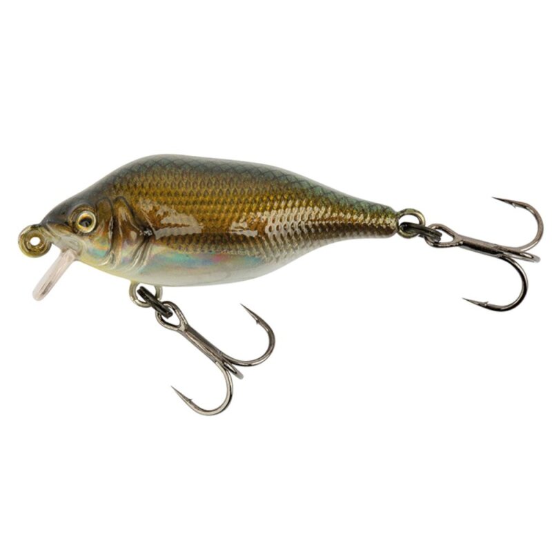 FOX RAGE Funk Bug SR 4cm 4g UV Real Shiner FOX RAGE Funk Bug SR 4cm 4g UV Real Shiner