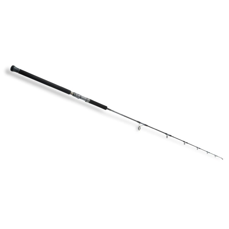 HEARTY RISE Skywalker Jigging Spin 1,98m 180-400g HEARTY RISE Skywalker Jigging Spin 1,98m 180-400g