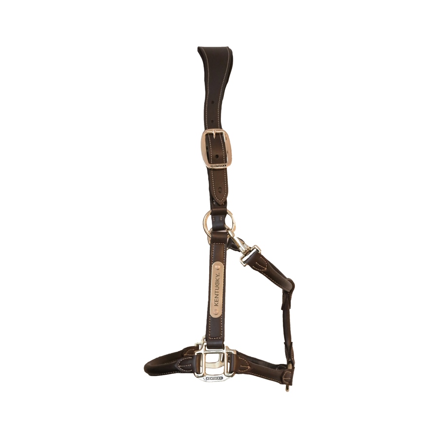 Kentucky Horsewear Halfter Anatomic Lederimitat Kentucky Horsewear Halfter Anatomic Lederimitat von Kentucky Horsewear