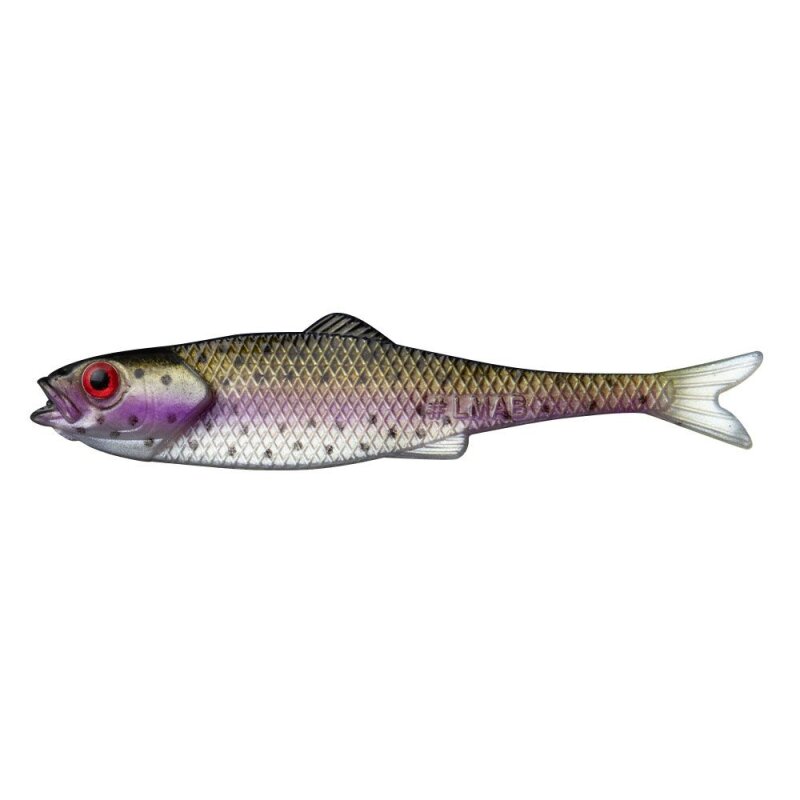 LMAB Finesse Filet 7cm 1g Rainbow Trout 4Stk. LMAB Finesse Filet 7cm 1g Rainbow Trout 4Stk.