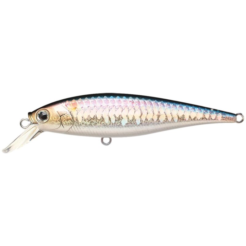 LUCKY CRAFT Pointer 78 7,8cm 9,2g MS American Shad LUCKY CRAFT Pointer 78 7,8cm 9,2g MS American Shad