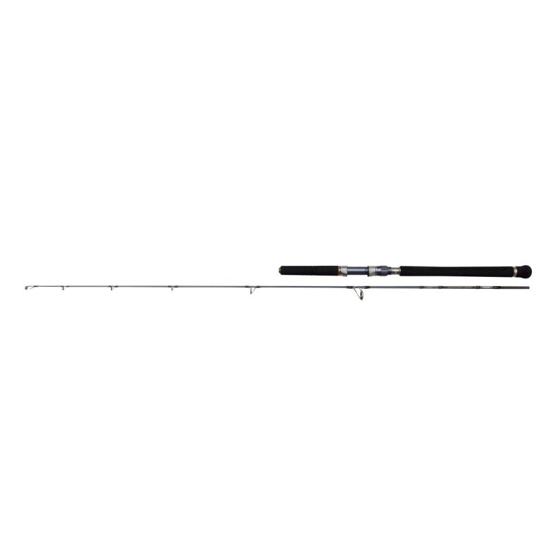 PENN Battalion Solid Jig 1,83m bis 300g PENN Battalion Solid Jig 1,83m bis 300g