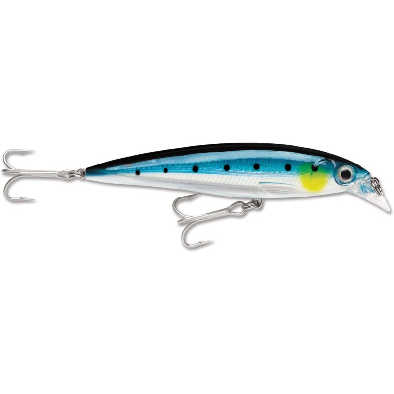 RAPALA X-Rap Saltwater 12cm 22g Blue Sardine