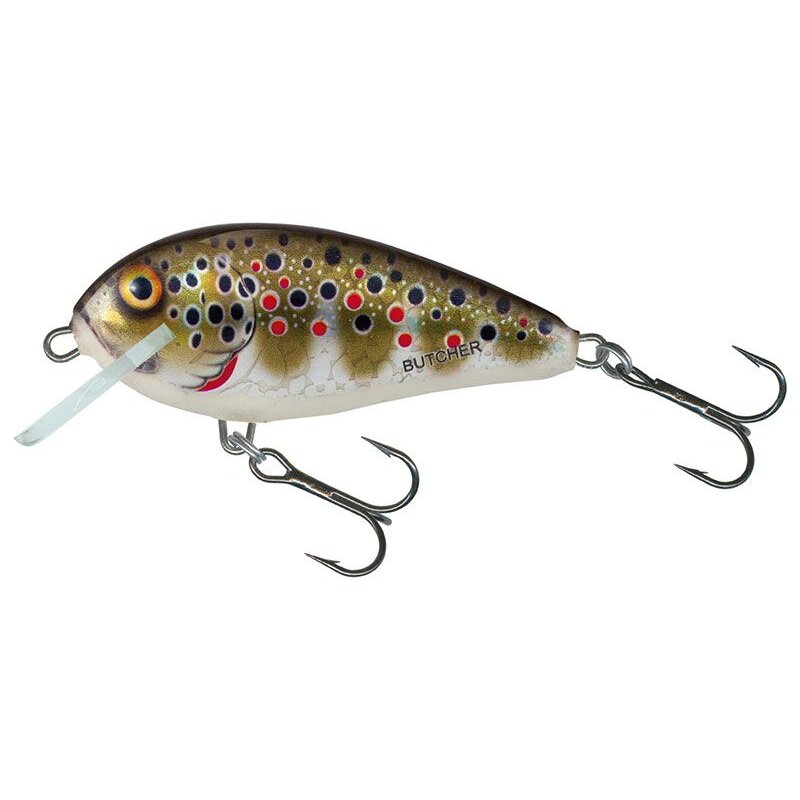 SALMO Butcher Sinking 5cm 7g Holographic Real Dace SALMO Butcher Sinking 5cm 7g Holographic Real Dace