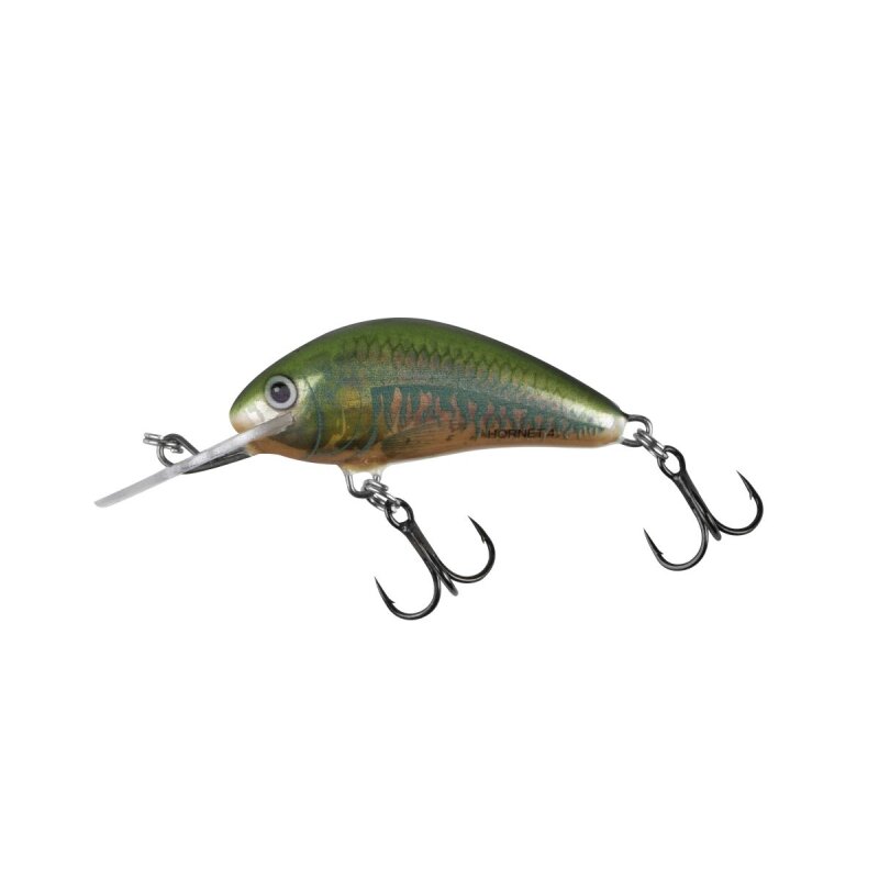 SALMO Hornet Floating Mini 3,5cm 2,2g Holo Oikawa SALMO Hornet Floating Mini 3,5cm 2,2g Holo Oikawa