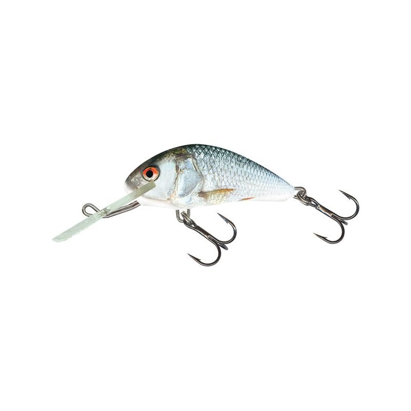 SALMO Hornet Sinking 4cm 4g Real Dace SALMO Hornet Sinking 4cm 4g Real Dace