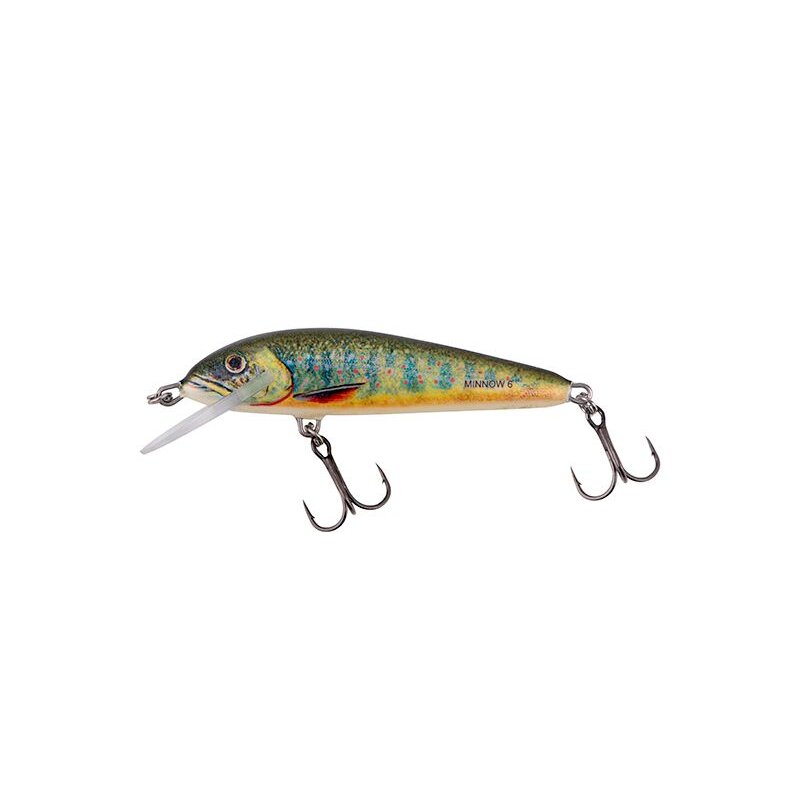 SALMO Minnow Floating 5cm 3g Lake Charr SALMO Minnow Floating 5cm 3g Lake Charr