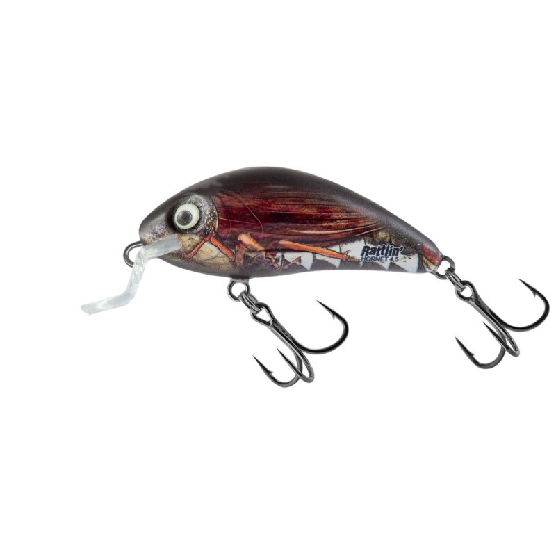 SALMO Rattlin Hornet Shallow 3,5cm 3g Real Cockhafer SALMO Rattlin Hornet Shallow 3,5cm 3g Real Cockhafer
