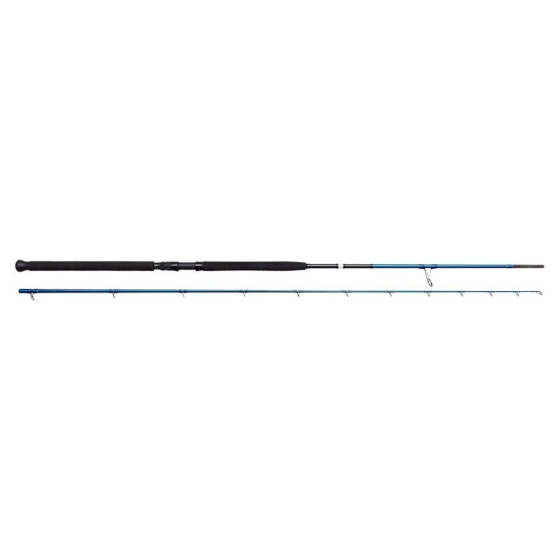 SAVAGE GEAR SGS2 Shire Jigging M MF 2,9m 20-80g SAVAGE GEAR SGS2 Shire Jigging M MF 2,9m 20-80g