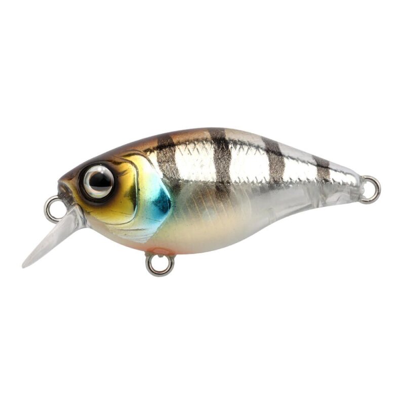 SPRO Ikiru Mini Crank F SL SH 3,8cm 4g Buzzer SPRO Ikiru Mini Crank F SL SH 3,8cm 4g Buzzer