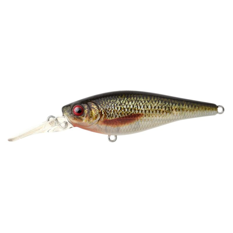 SPRO Ikiru Shad 70 LL 7cm 11g Roach SPRO Ikiru Shad 70 LL 7cm 11g Roach