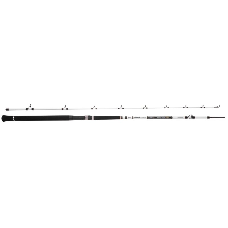 SPRO Salty Beast Nano Mega Jig Baitcast 2,4m bis 450g SPRO Salty Beast Nano Mega Jig Baitcast 2,4m bis 450g
