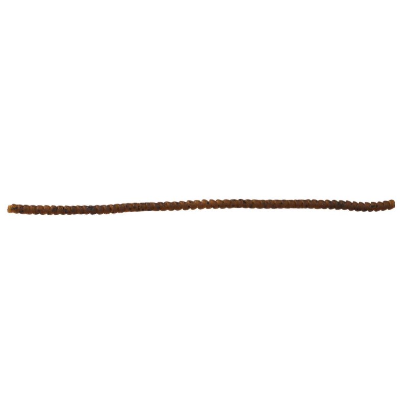 TROUTMASTER Spring Worm 25cm Terrapin TROUTMASTER Spring Worm 25cm Terrapin
