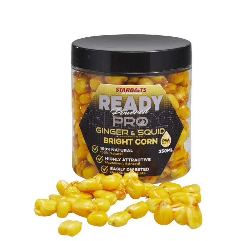 STARBAITS Ready Seeds Pro Bright Corn Ginger Squid 250ml... (19,08 € pro 1 l)
