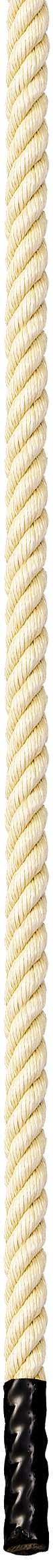Sport-Thieme Turnhallen-Klettertau "Classic", 3,0 m Sport-Thieme Turnhallen-Klettertau "Classic", 3,0 m von Sport-Thieme