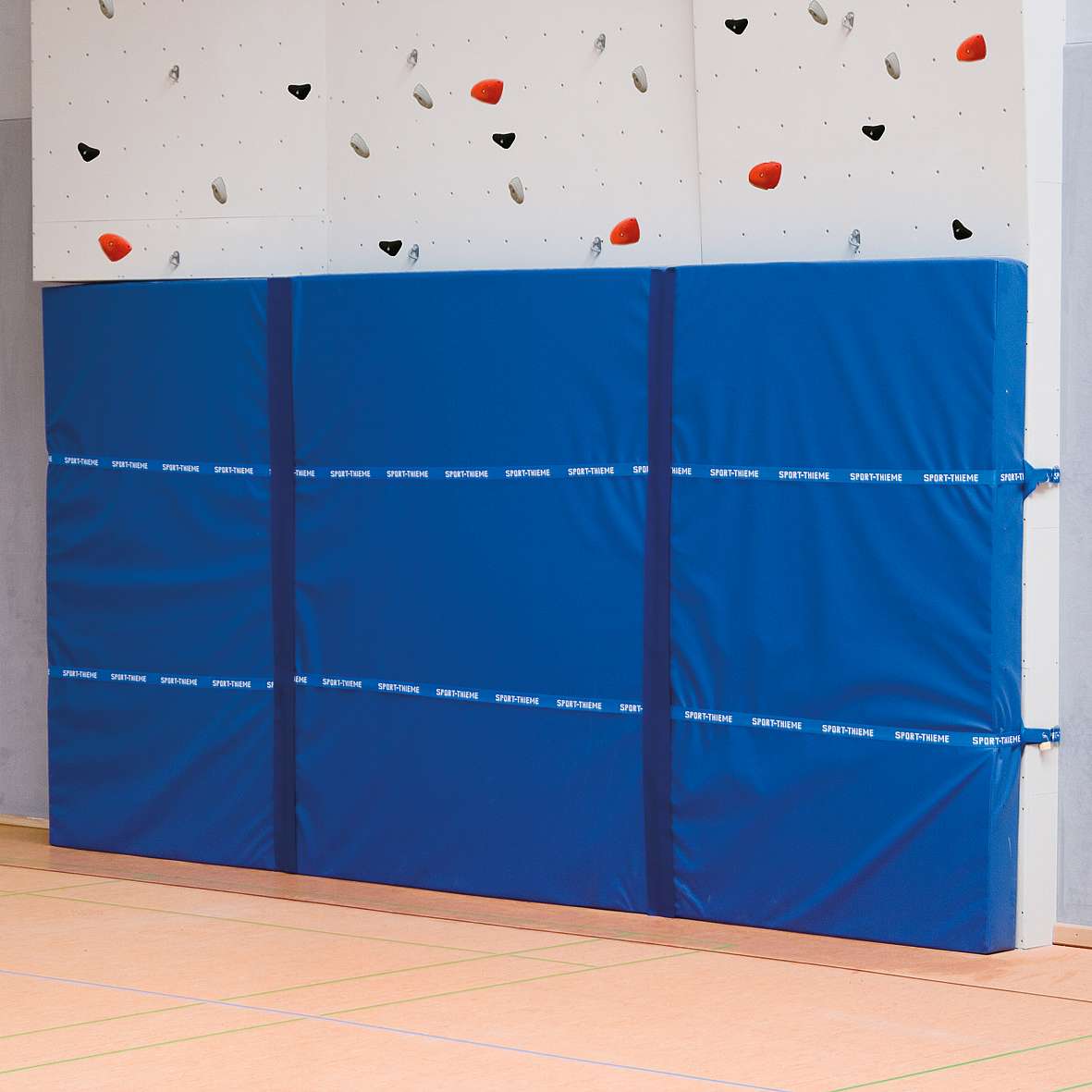 Sport-Thieme Weichbodenmatte, 250x150 cm Sport-Thieme Weichbodenmatte, 250x150 cm von Sport-Thieme