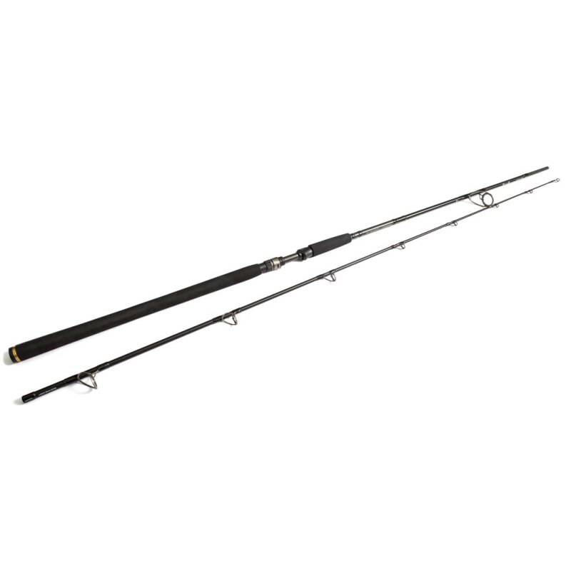 WESTIN W3 Powercast 2nd XXH 2,48m 40-130g WESTIN W3 Powercast 2nd XXH 2,48m 40-130g