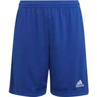 adidas Entrada 22 Fußball Shorts Kinder royblu 116 von adidas performance