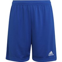 adidas Entrada 22 Fußball Shorts Kinder royblu 128 adidas Entrada 22 Fußball Shorts Kinder royblu 128 von adidas performance
