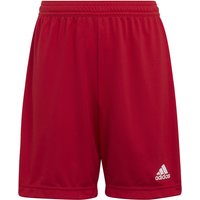 adidas Entrada 22 Fußball Shorts Kinder tepore 152 von adidas performance