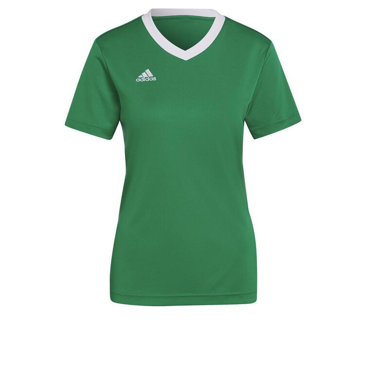 adidas Entrada 22 Trikot Damen HI2124 TEAGRN/WHITE S