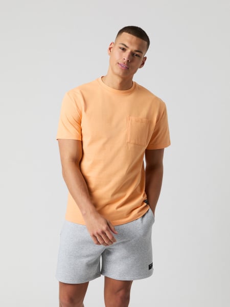 Björn Borg Borg Heavy Jersey T-shirt Orange, XL Björn Borg Borg Heavy Jersey T-shirt Orange, XL von björn borg