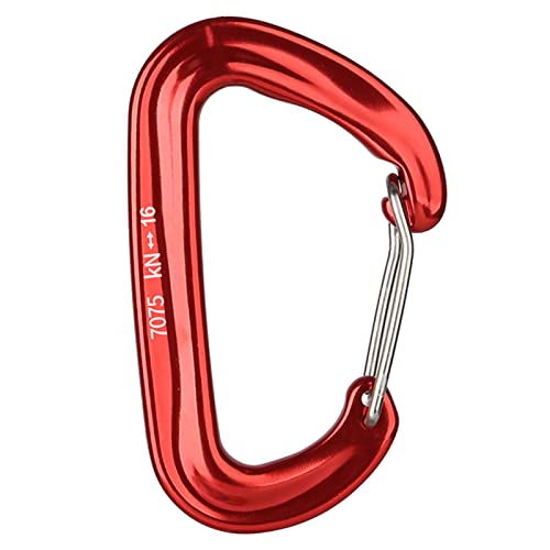 bnsggl Karabiner Clip 16 KN Robuster Karabinerhaken Für Fitnessstudio Camping Wandern Outdoor Kleine Karabiner Für Leine Geschirr von bnsggl