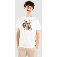 Brixton Rowdy T-Shirt white Brixton Rowdy T-Shirt white von brixton
