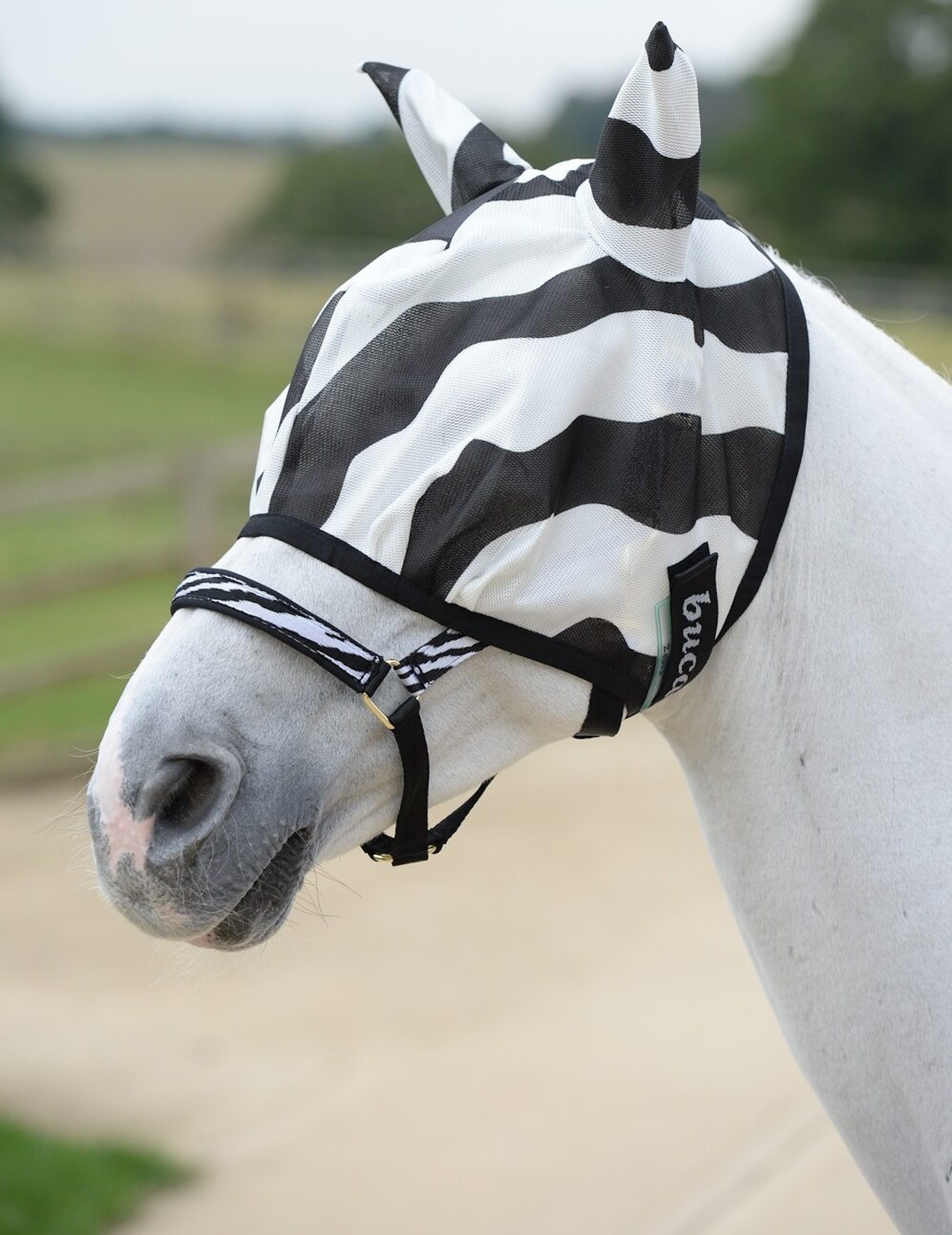 Fliegenmaske Buzz-Off Zebra Fliegenmaske Buzz-Off Zebra von bucas