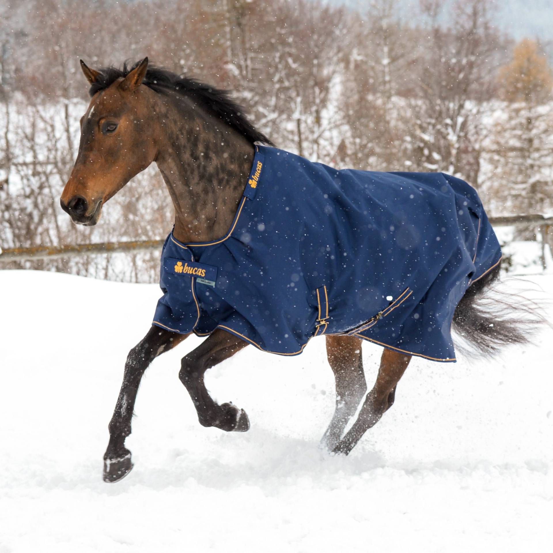 Weidedecke Irish Turnout 300 Weidedecke Irish Turnout 300 von bucas
