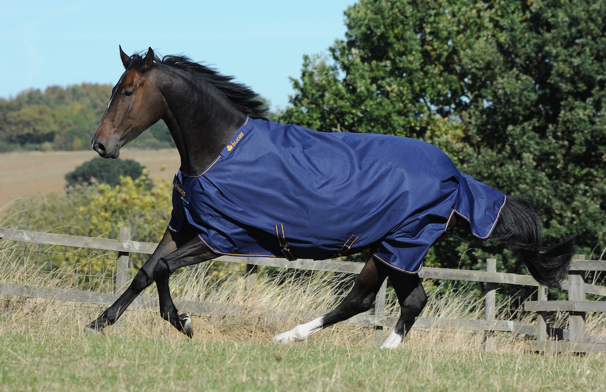 Weidedecke Irish Turnout light 50gr Weidedecke Irish Turnout light 50gr von bucas