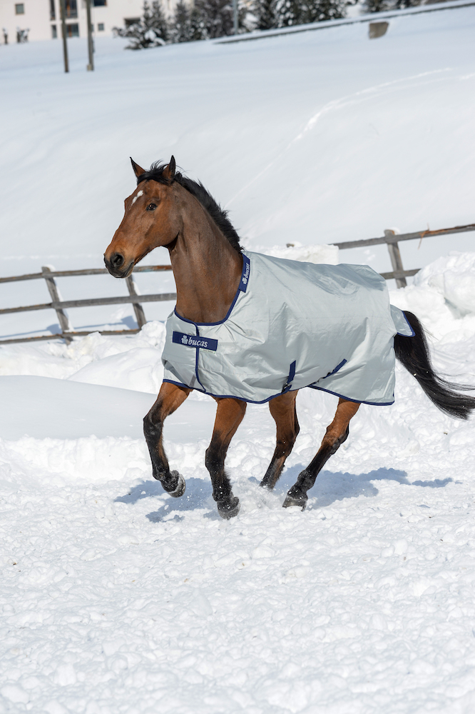 Weidedecke Power Turnout Extra 300g Weidedecke Power Turnout Extra 300g von bucas