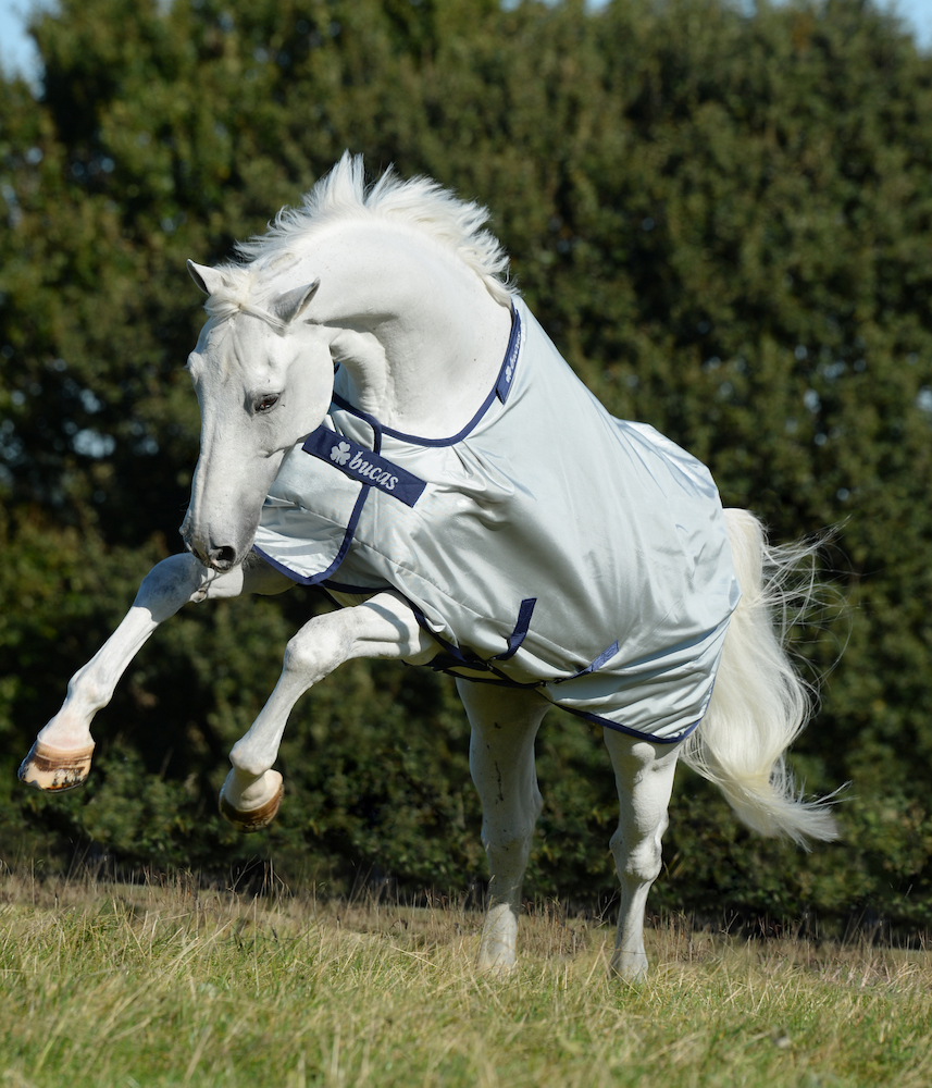 Weidedecke Power Turnout Light 0g Weidedecke Power Turnout Light 0g von bucas