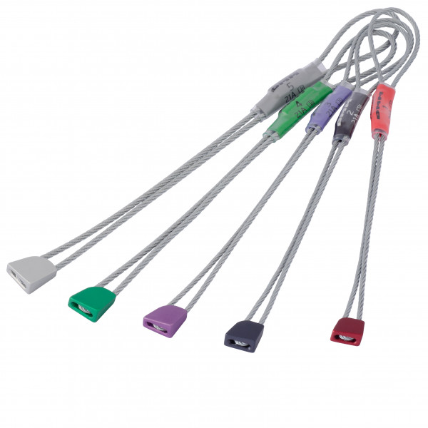 DMM - Peenut - Klemmkeil Gr Sizes 1-5 assorted DMM - Peenut - Klemmkeil Gr Sizes 1-5 assorted von dmm