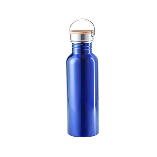 eBuyGB Leakproof Metal Drinks Flask Wiederverwendbare Edelstahl-Trinkflasche, blau, 800 ml von eBuyGB