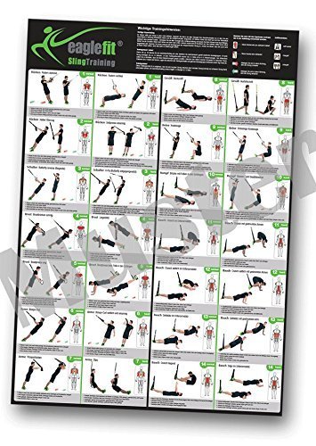 eaglefit Sling-Trainer Übungsposter mit 28 Übungen; 59,4 x 84 cm, gerollt von eaglefit