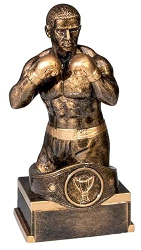 eberin · Boxen-Pokal, Resinfigur Box-Champion, Bronze, mit Wunschtext und auswählbarem Motiv-Emblem 2,5 cm, Größe 18 cm eberin · Boxen-Pokal, Resinfigur Box-Champion, Bronze, mit Wunschtext und auswählbarem Motiv-Emblem 2,5 cm, Größe 18 cm von eberin