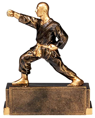 eberin · Kampfsport Pokal, Judo · Karate · Jiu-Jitsu · Taekwondo · Aikido, Resinfigur Kämpfer Gold/Bronze, personalisierbar mit Wunschtext, Größe 12 cm eberin · Kampfsport Pokal, Judo · Karate · Jiu-Jitsu · Taekwondo · Aikido, Resinfigur Kämpfer Gold/Bronze, personalisierbar mit Wunschtext, Größe 12 cm von eberin