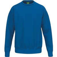 erima Teamsport Sweatshirt Kinder new royal 140 erima Teamsport Sweatshirt Kinder new royal 140 von erima