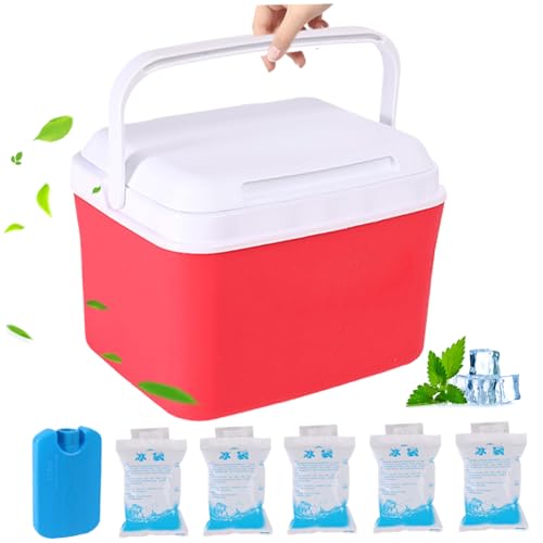 Mini -Kühler, 5qt isoliert kleine Harte Kühler, tragbare kleine Eiskiste mit Griffen, Mini -Kühler -Lunchbox, rote Sportartikel von eurNhrN