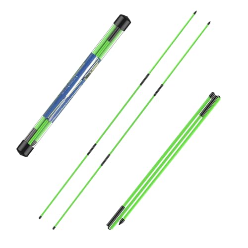 flintronic Golf Alignment Sticks, 2 Stück Klappbar Golfübungsstangen mit Durchsichtigem Aufbewahrungsrohr, Alignment Übungsstangen Schwunghilfe Golfübungsgerät Richtungsanzeige zum Zielen Putten flintronic Golf Alignment Sticks, 2 Stück Klappbar Golfübungsstangen mit Durchsichtigem Aufbewahrungsrohr, Alignment Übungsstangen Schwunghilfe Golfübungsgerät Richtungsanzeige zum Zielen Putten von flintronic