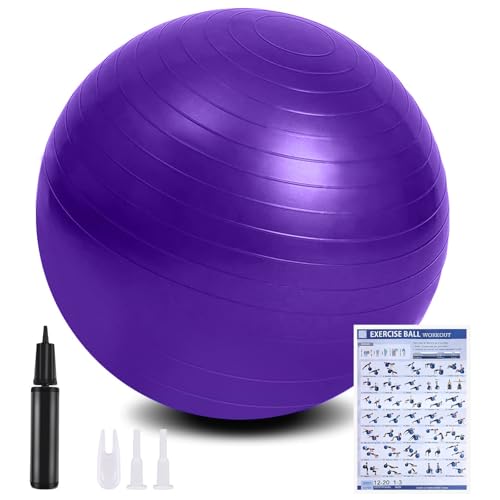 flintronic Gymnastikball, 65 cm Ultra-Dicker Anti-Explosions-Yoga-Ball mit aufblasbarer Fußpumpe, Robuster Maximalbelastbarkeit Fitness-Ball für Sport-Fitness, Yoga, Pilates(Lila) flintronic Gymnastikball, 65 cm Ultra-Dicker Anti-Explosions-Yoga-Ball mit aufblasbarer Fußpumpe, Robuster Maximalbelastbarkeit Fitness-Ball für Sport-Fitness, Yoga, Pilates(Lila) von flintronic