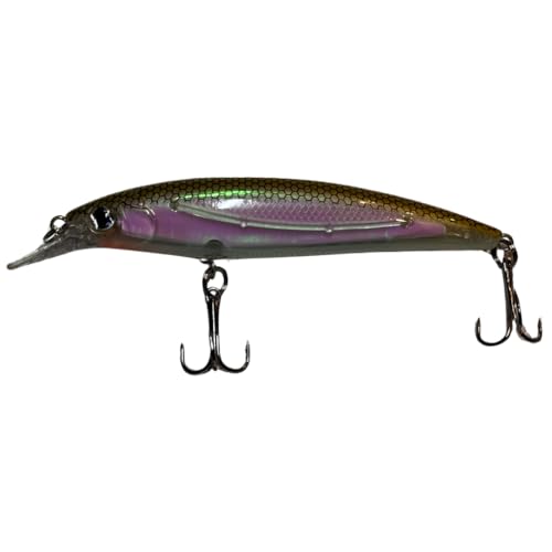 focutex Schwimmender Wobbler – 11cm 14g Topwater Angelköder, Kunstköder für Forelle, Hecht, Zander, Barsch, Hochwertige Raubfischköder für Süßwasserangeln (1, Gold-Weiß) focutex Schwimmender Wobbler – 11cm 14g Topwater Angelköder, Kunstköder für Forelle, Hecht, Zander, Barsch, Hochwertige Raubfischköder für Süßwasserangeln (1, Gold-Weiß) von focutex