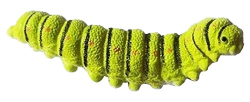Geocaching Versteck Kleiner Wurm mit Nano Micro Geocache Hide Insect Geocaching Versteck Kleiner Wurm mit Nano Micro Geocache Hide Insect von geo-versand