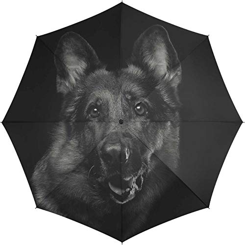 Automatik Regenschirm Stockschirm Essentials Dog mit wunderschönem Hundemotiv Automatik Regenschirm Stockschirm Essentials Dog mit wunderschönem Hundemotiv von happy rain