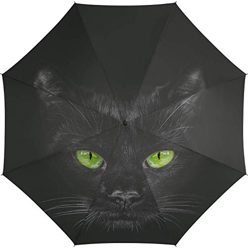 happy rain Regenschirm Automatik Essentials mit süßem Katzen-Motiv, mehrfarbig, s, faltbarer Regenschirm, Mehrfarbig, s, Faltbarer Regenschirm happy rain Regenschirm Automatik Essentials mit süßem Katzen-Motiv, mehrfarbig, s, faltbarer Regenschirm, Mehrfarbig, s, Faltbarer Regenschirm von happy rain