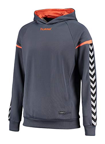 hummel Herren Auth Charge Poly Hoodie, Ombre Blue/Nasturtium, L hummel Herren Auth Charge Poly Hoodie, Ombre Blue/Nasturtium, L von hummel