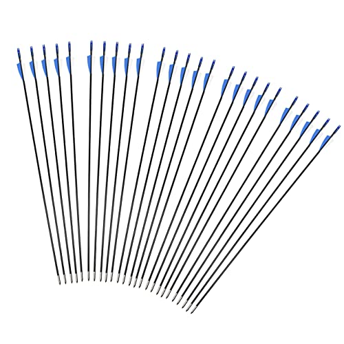 iMeshbean Fieberglaspfeile Pfeile für bogenschießen, 25 Stück Bogenpfeile 31 Zoll 6mm Fiberglaspfeil Jagdpfeile für Bogen, Recurvebogen, Sportbogen(Blau) von iMeshbean