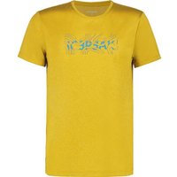 ICEPEAK Herren Shirt BEARDEN ICEPEAK Herren Shirt BEARDEN von icepeak